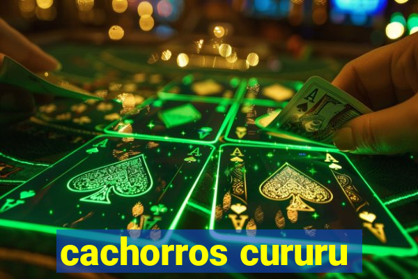 cachorros cururu
